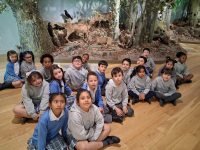 VISITA AL MUSEO DE HISTORIA NATURAL - 2º EP