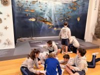 VISITA AO MUSEO DE HISTORIA NATURAL 5ºEP