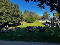 DESCUBRIENDO LA PRIMAVERA - E.INFANTIL